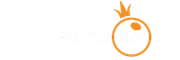 Footer logo 1